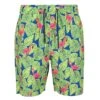 Regatta Heren Hamza Flamingo Zwemshorts (Heldere Kiwi) -Regatle Winkel heren hamza flamingo zwemshorts heldere kiwi