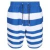 Regatta Heren Hamza Gestreepte Zwemshorts (Lapis Blauw) -Regatle Winkel heren hamza gestreepte zwemshorts lapis blauw