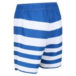 Regatta Heren Hamza Gestreepte Zwemshorts (Lapis Blauw) -Regatle Winkel heren hamza gestreepte zwemshorts lapis blauw 2