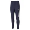 TeamLIGA Pro Voetbaltrainingsbroek Heren PUMA -Regatle Winkel teamliga pro voetbaltrainingsbroek heren puma
